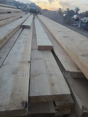 Pine Timber Freshi Tmbao