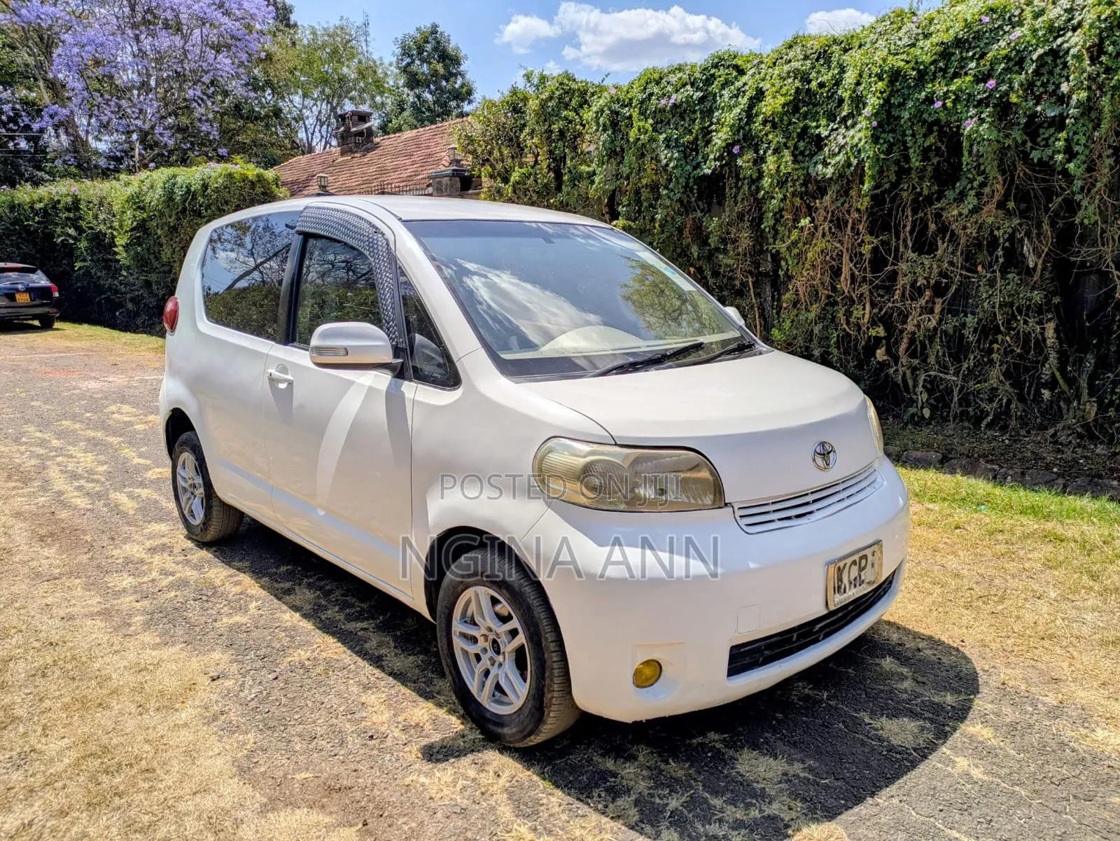 Toyota Porte 2011 White