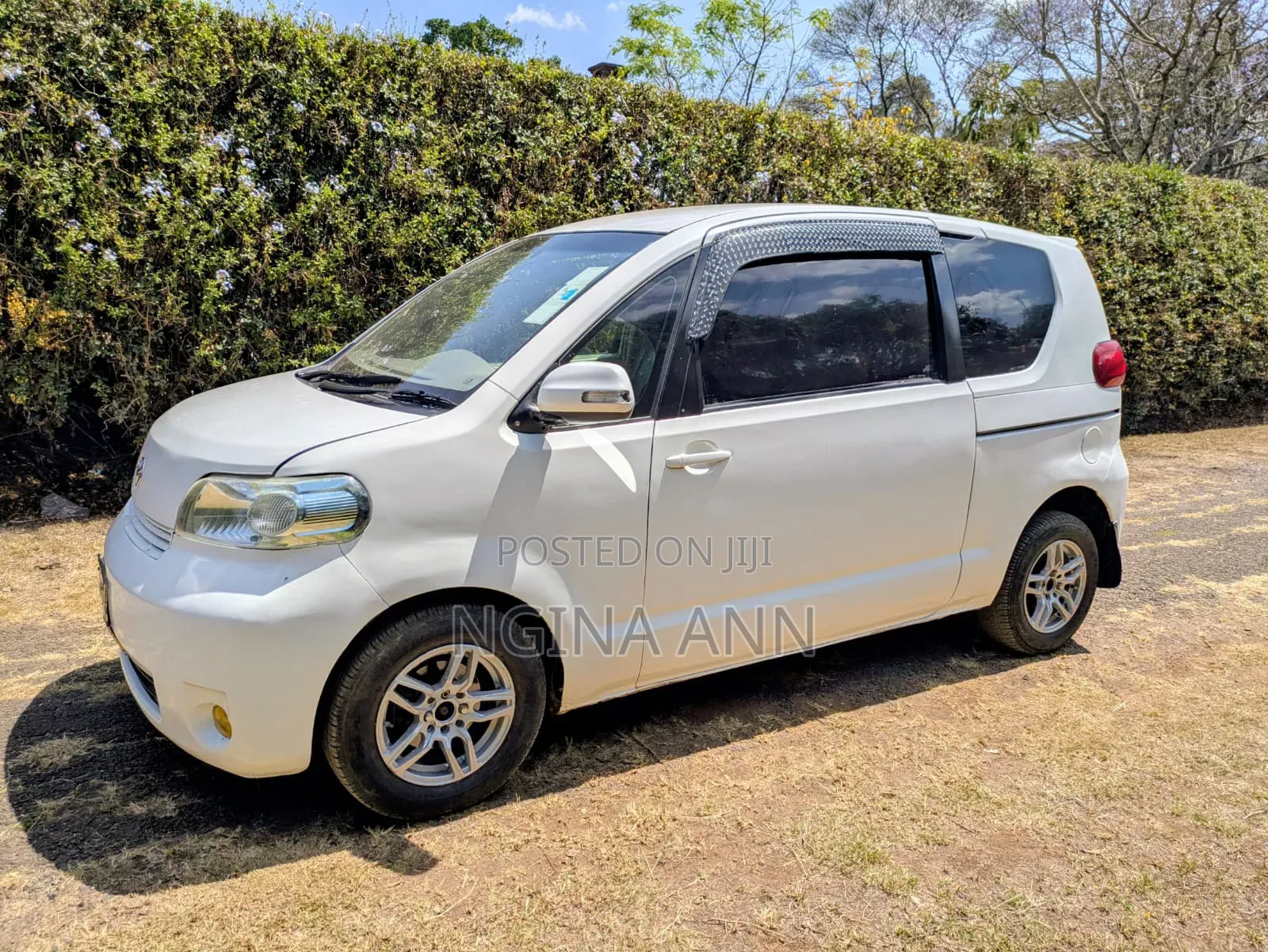 Toyota Porte 2011 White