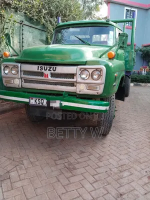 Isuzu Direct Injection Truck on Sale