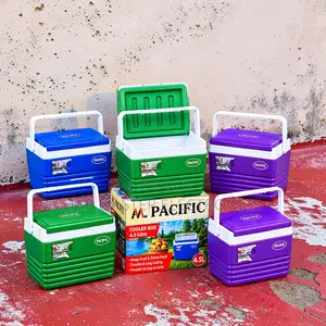 4.5L Portable Cooler Box for Fresh Food Drinks and Lunch