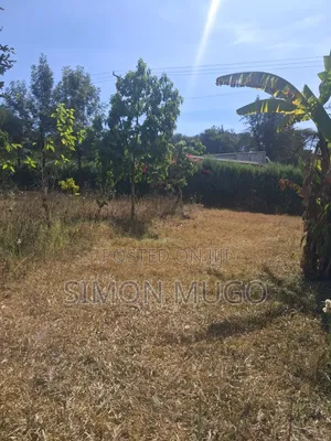 Ongata Rongai Acacia Prime Secure Well Drained Red Soil 50x100 Plot