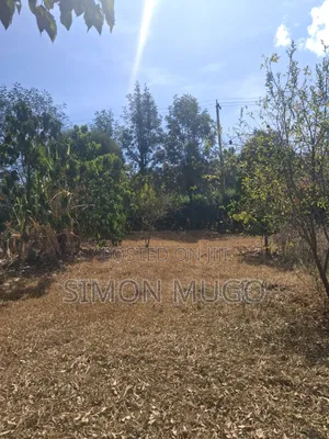 Ongata Rongai Acacia Prime Secure Well Drained Red Soil 50x100 Plot