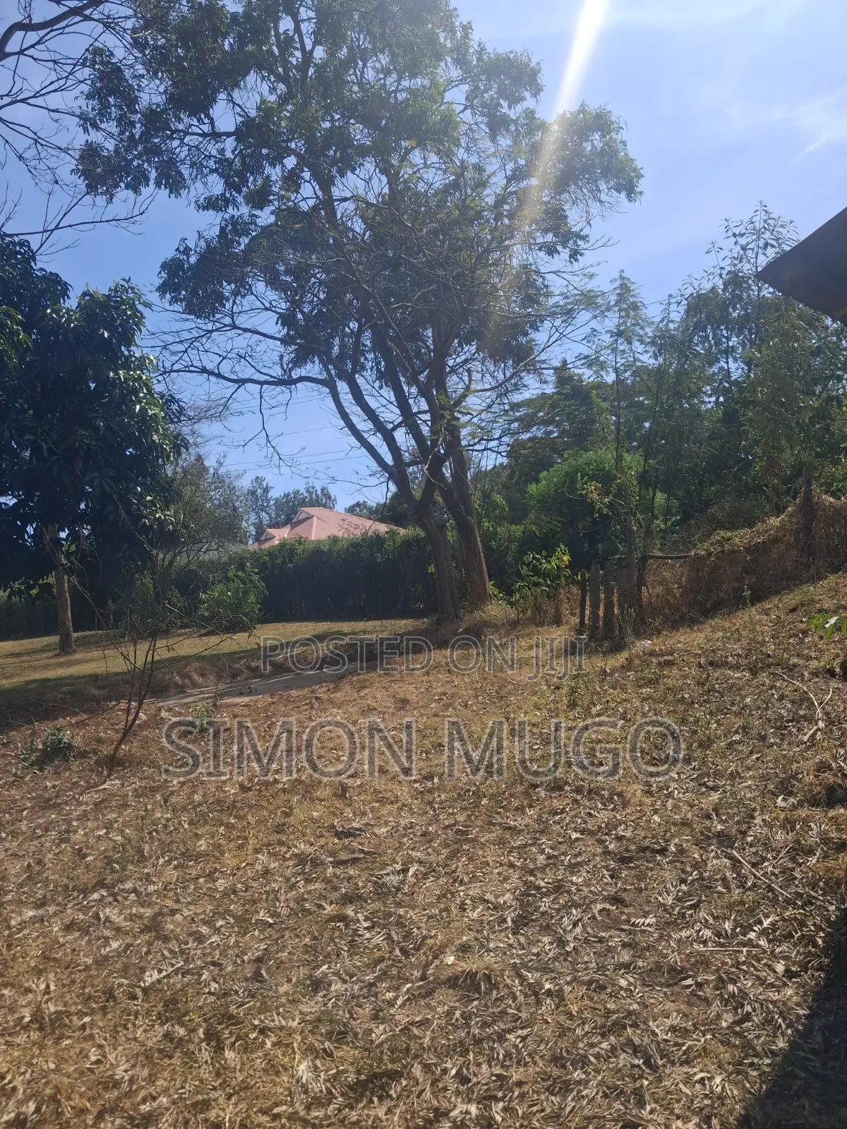 Ongata Rongai Acacia Prime Secure Well Drained Red Soil 50x100 Plot
