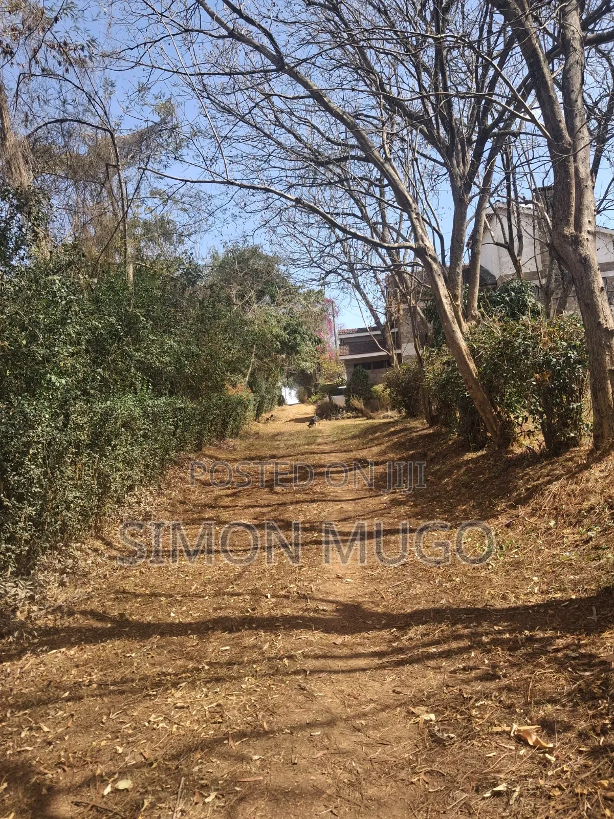 Ongata Rongai Acacia Prime Secure Well Drained Red Soil 50x100 Plot
