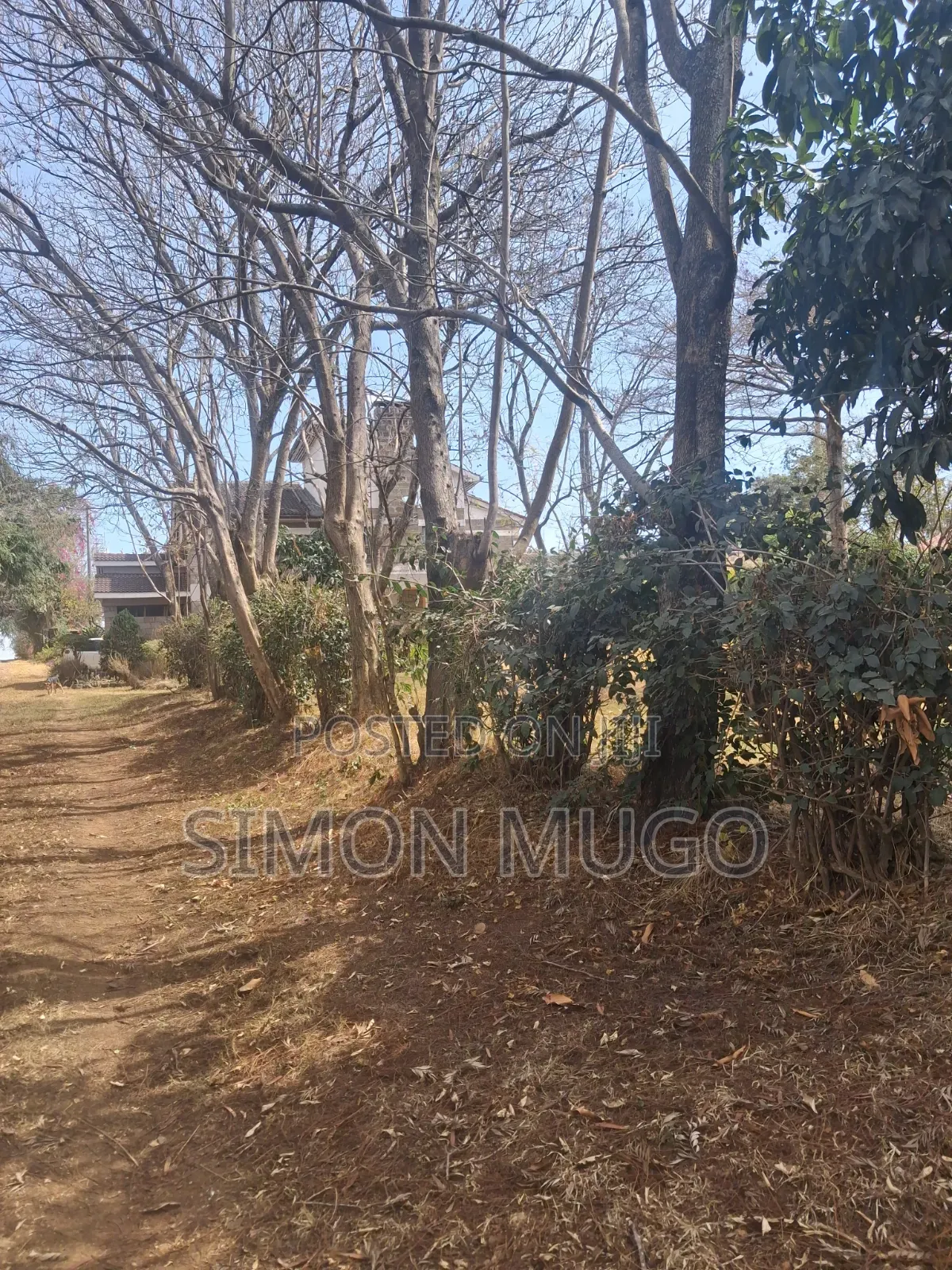 Ongata Rongai Acacia Prime Secure Well Drained Red Soil 50x100 Plot