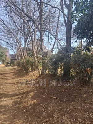 Ongata Rongai Acacia Prime Secure Well Drained Red Soil 50x100 Plot