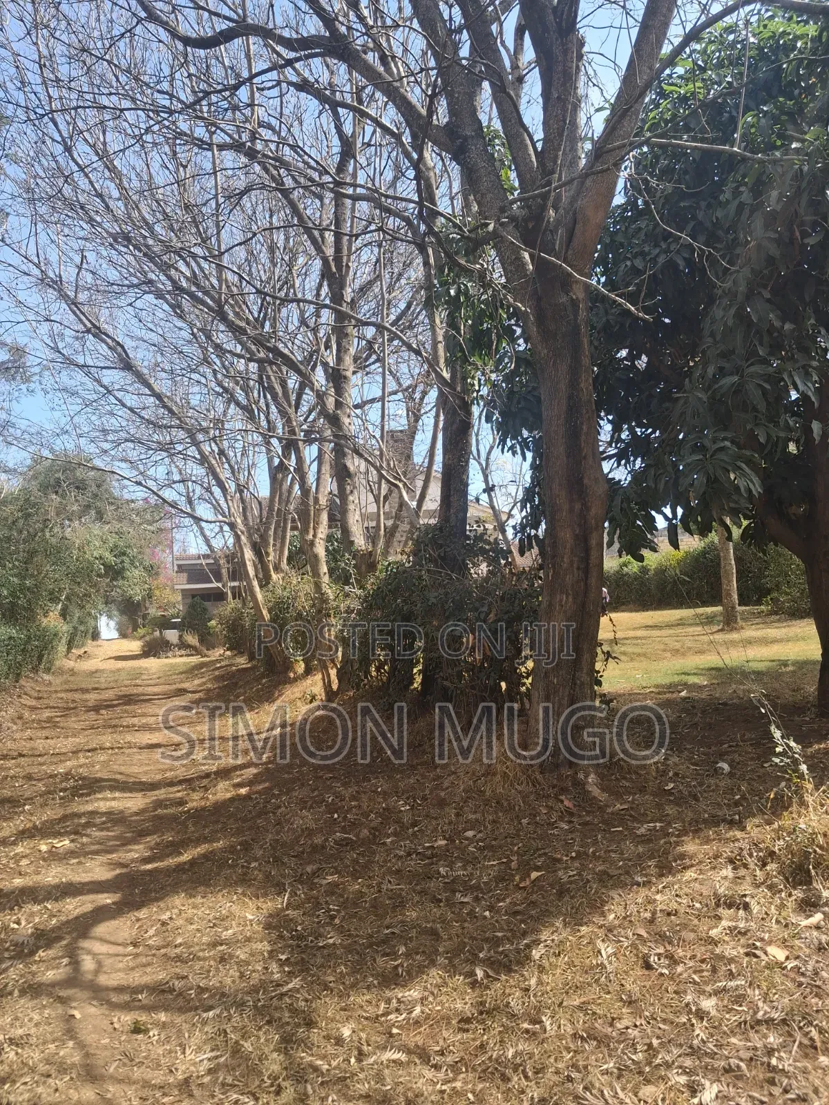 Ongata Rongai Acacia Prime Secure Well Drained Red Soil 50x100 Plot