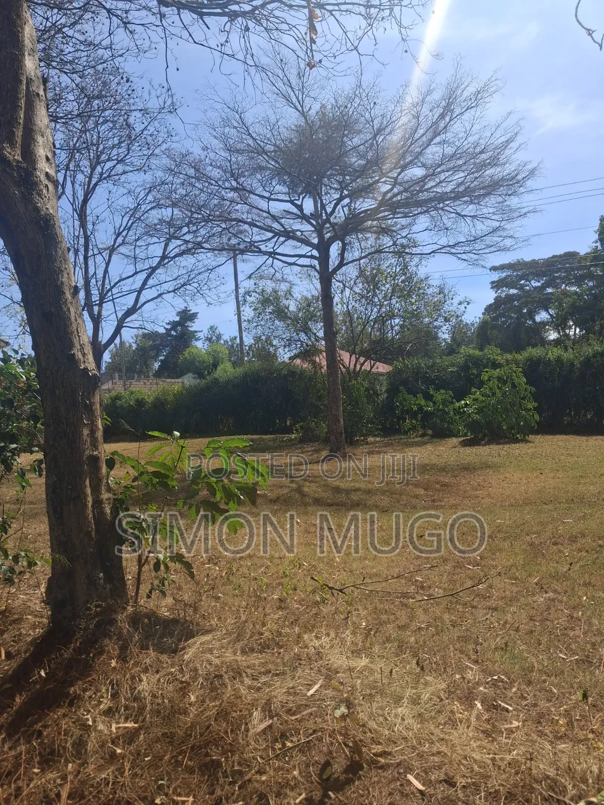 Ongata Rongai Acacia Prime Secure Well Drained Red Soil 50x100 Plot