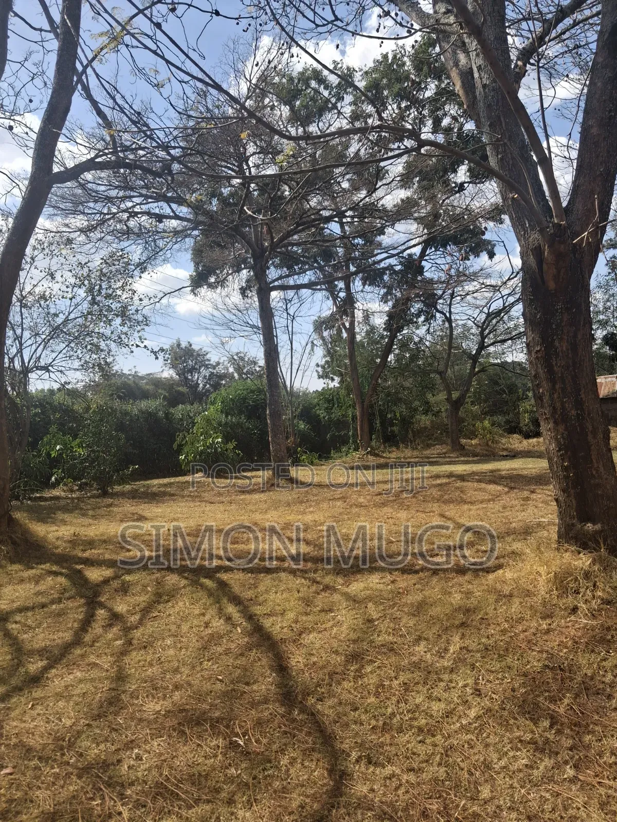 Ongata Rongai Acacia Prime Secure Well Drained Red Soil 50x100 Plot
