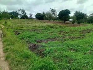 Two Acre Land for Sale at Mtepeni