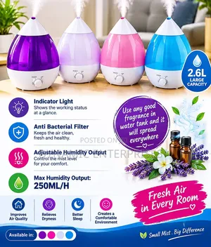 2.6Litre Humidifier*