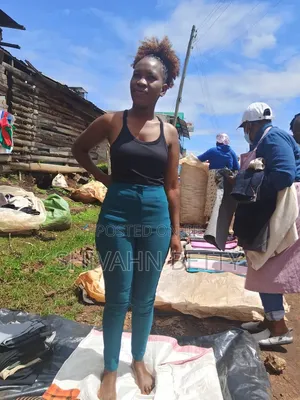 Quality Ladies Trousers