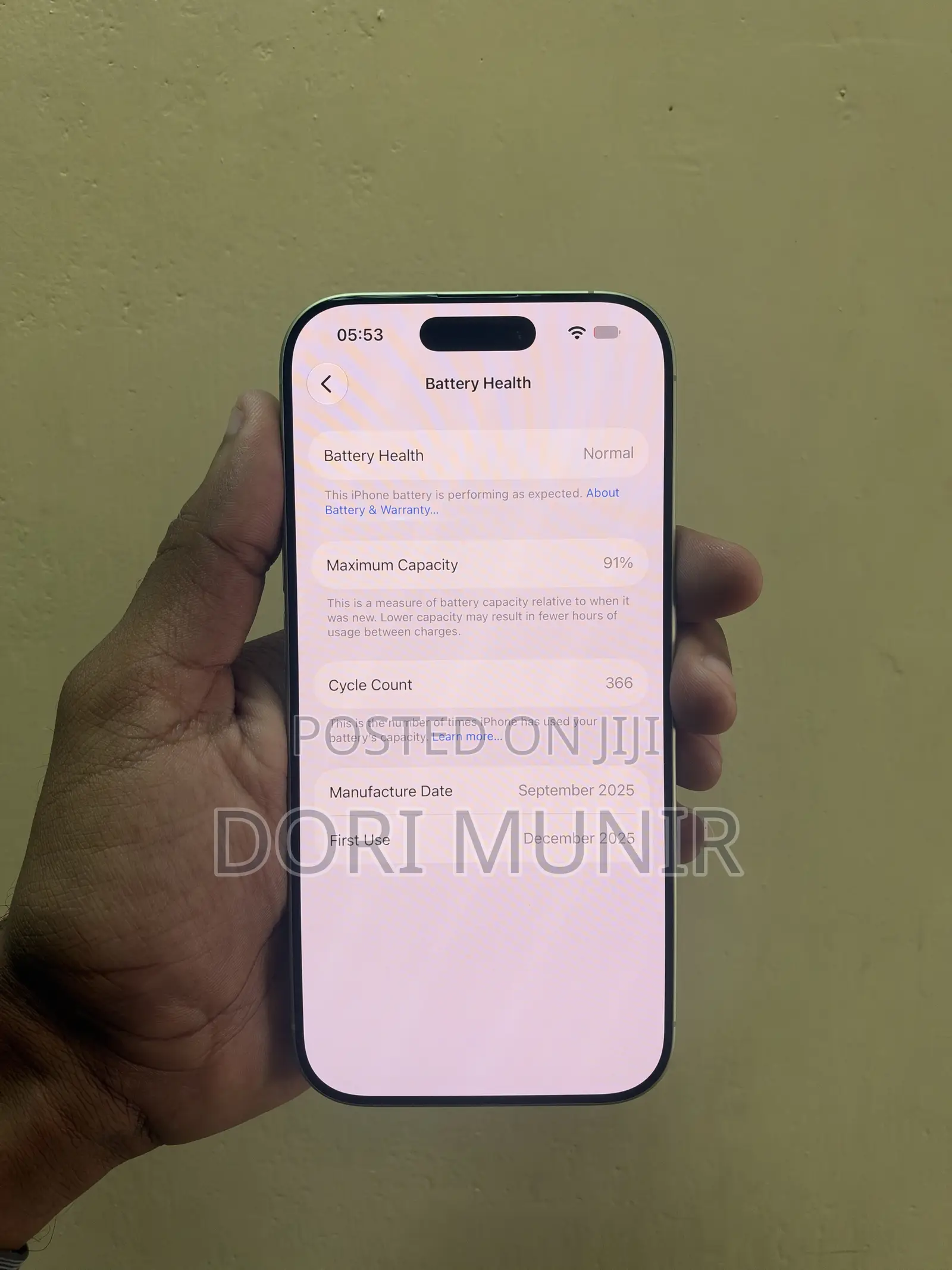 Apple iPhone 17 256 GB