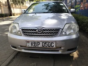 Toyota Corolla Fielder 2006 Silver