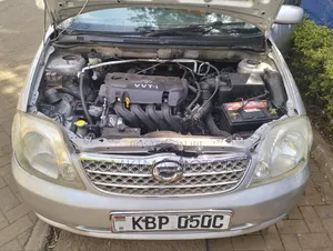 Toyota Corolla Fielder 2006 Silver