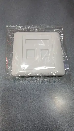 Dual Port Network Faceplate – 2 Port Wall Plate