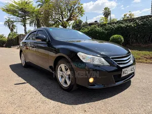 Toyota Mark X 2010 Black