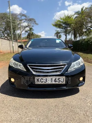 Toyota Mark X 2010 Black