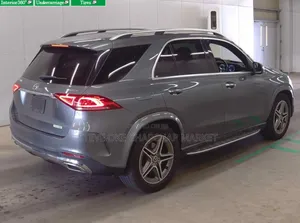 Mercedes-Benz GLE-Class GLE 450 4MATIC 2020 Gray