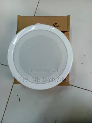 High-Quality Ceiling Speaker