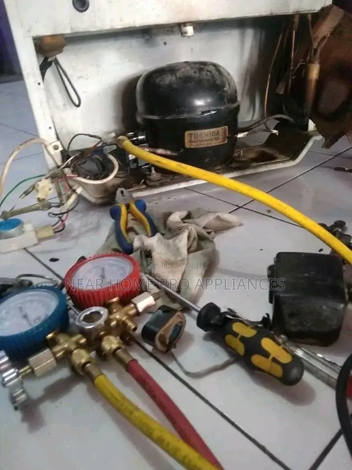 LG Fridge Repair in Limuru
