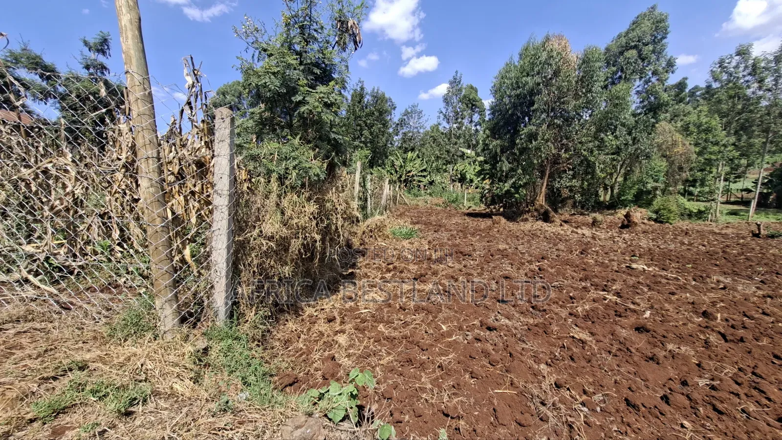 Prime Plot for Sale – Kabete Kanyariri
