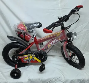 *Rb24917 Sibog Bicycle - Size 12*
