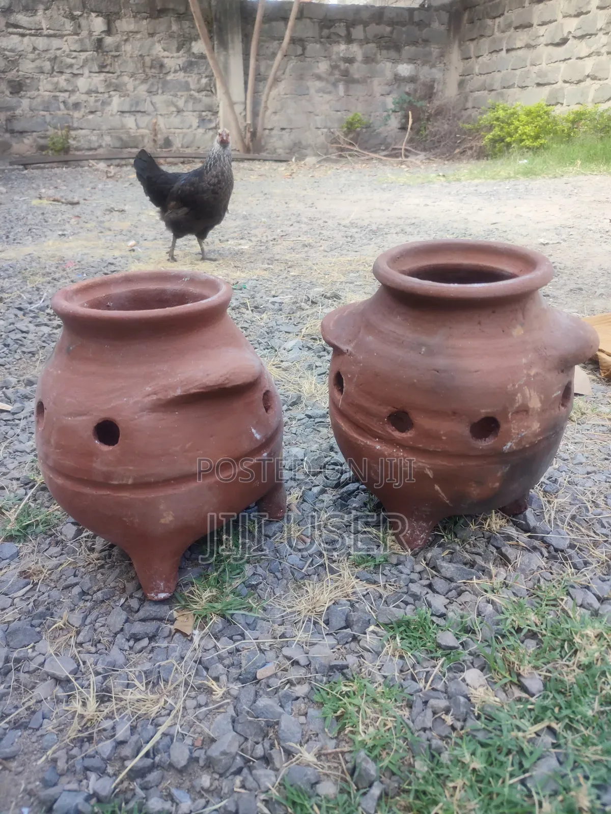 Chicks Brooding Pots