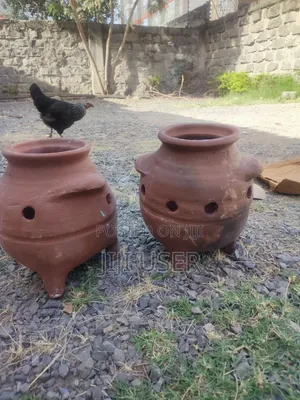 Chicks Brooding Pots
