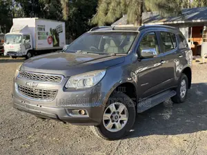 Chevrolet Trailblazer 2014 Gray
