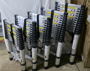*Single Telescopic Ladders*