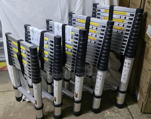*Single Telescopic Ladders* - main view
