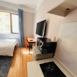 Furnished Studio Apartment in Dagoretti Corner for rent
