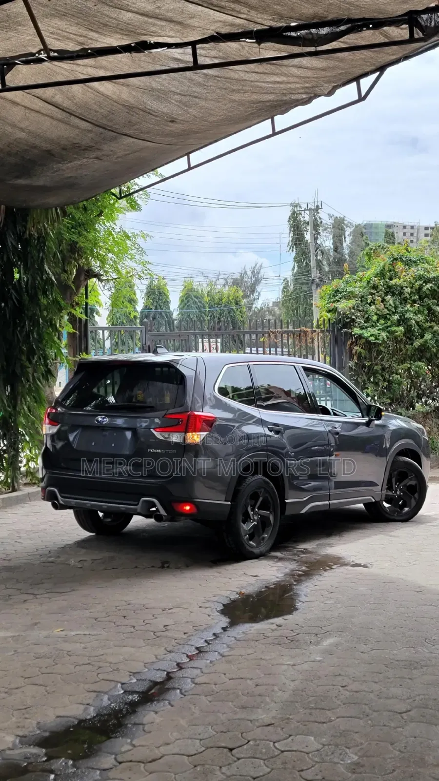 Subaru Forester Premium 2021 Gray