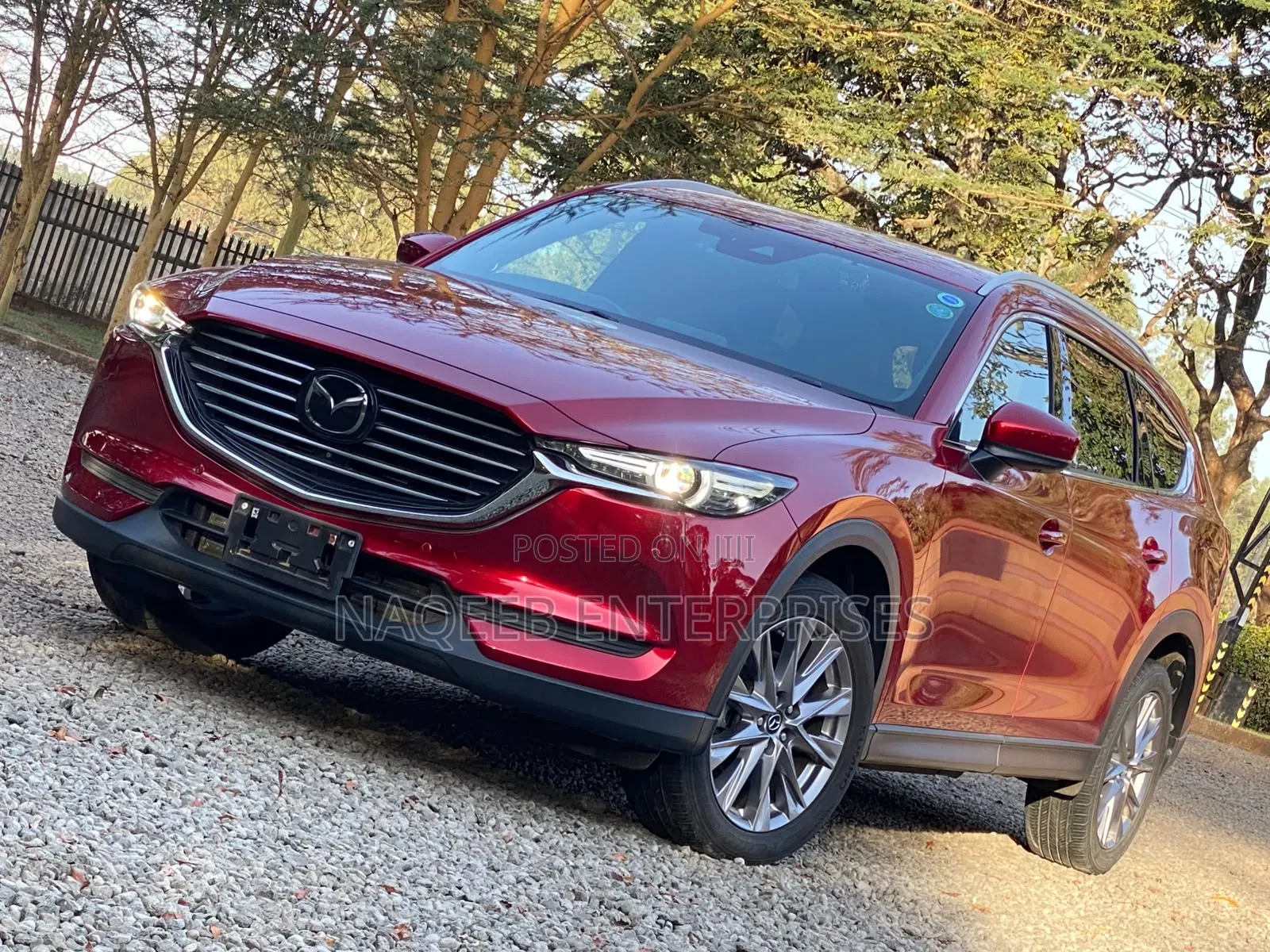 Mazda CX-8 2019 Maroon