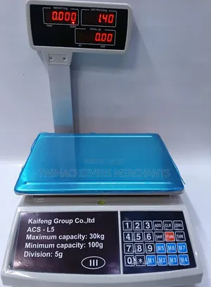 30kgs Heavy Duty Commercial Digital Weighing Scale (L5)
