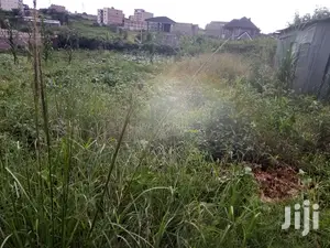 🔥🔥Membely Prime Lands for Sale