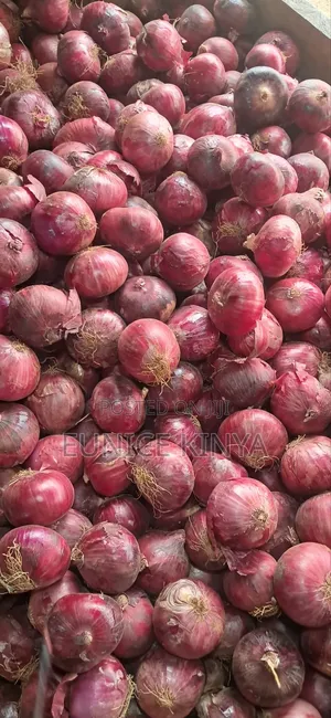 Fresh Farm Red Onions