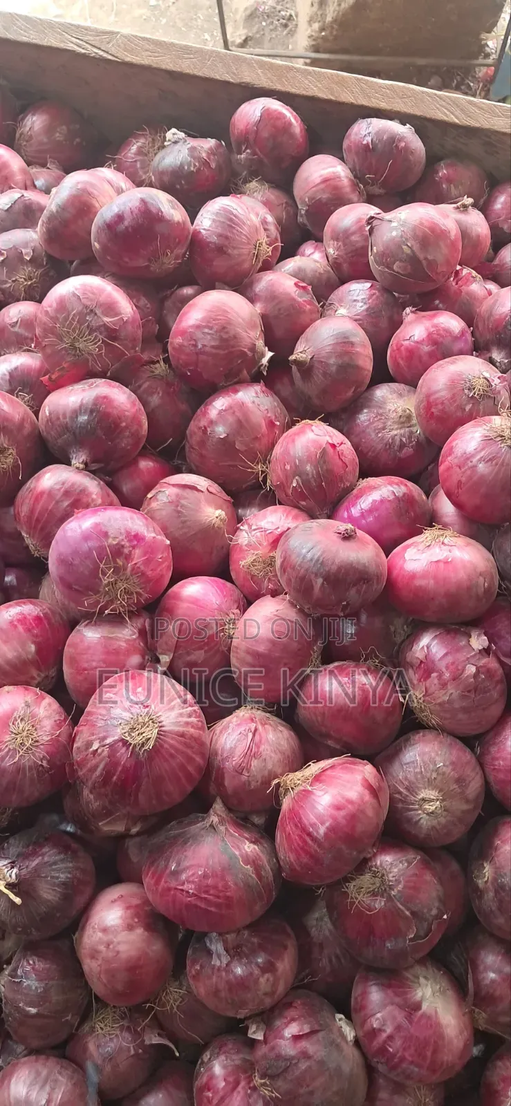 Fresh Farm Red Onions