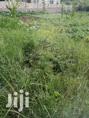 🔥🔥Membely Prime Lands for Sale