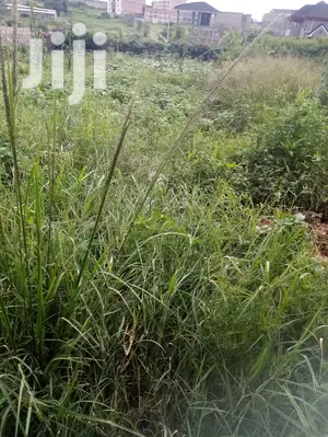 🔥🔥Membely Prime Lands for Sale