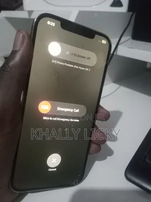 Apple iPhone 12 Pro Max 256 GB Gray