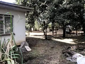 5bdrm Bungalow in Kilimani for sale