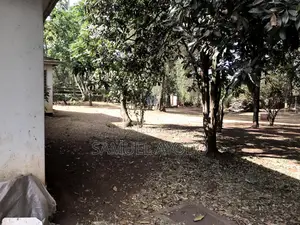 5bdrm Bungalow in Kilimani for sale
