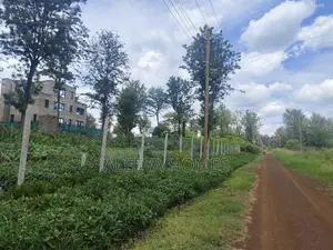 Fully Serviced Luxury 1/8 Acre (50*100) Plots for Sale at Oaklands