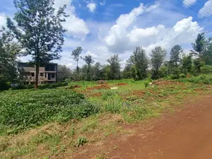 Fully Serviced Luxury 1/8 Acre (50*100) Plots for Sale at Oaklands