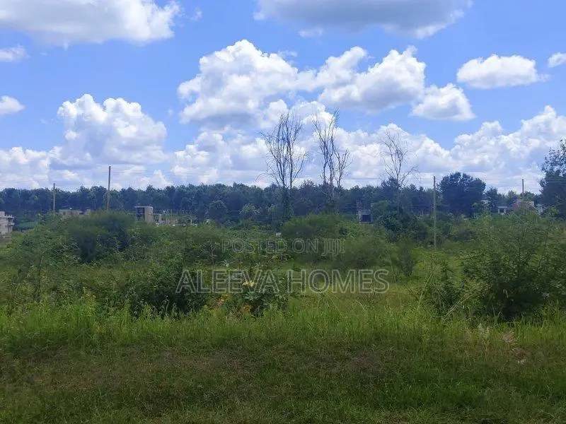 Fully Serviced Luxury 1/8 Acre (50*100) Plots for Sale at Oaklands