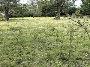 Prime 1 Acre Plot for Sale in Karen Bogani – KES 100 Million