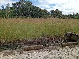 Prime ½ Acre Plots for sale in Karen- Kes 43M
